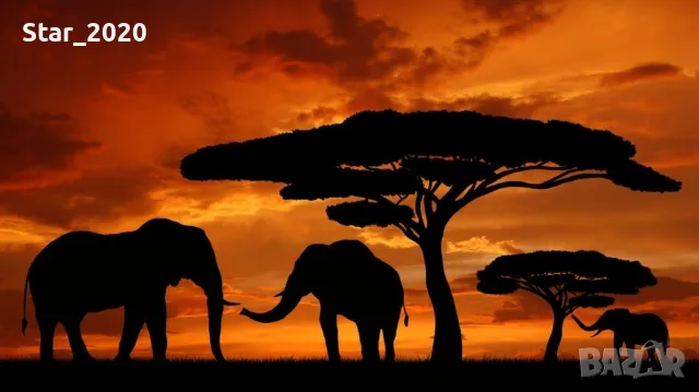 Светеща картина с LED осветление - слонове , снимка 1
