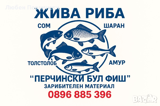 Продавам рибни консерви. , снимка 8 - Хранителни добавки - 52863658