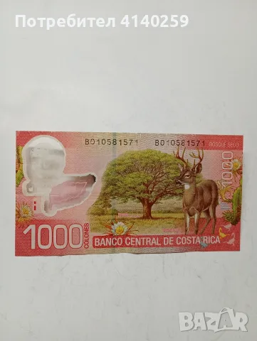 КОСТА РИКА БАНКНОТИ 1000 КОЛОНА , снимка 4 - Нумизматика и бонистика - 56150263