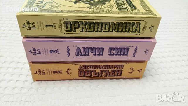 Фентъзи трилогия Сага за тъмните печалби - Оркономика, Личи син, Дисциплинарно овъглен, снимка 3 - Художествена литература - 55753551