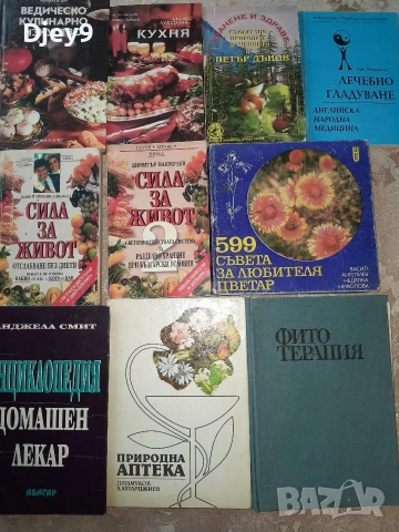 разпродажба на стари книжки над 2000 броя, снимка 13 - Чуждоезиково обучение, речници - 53631959