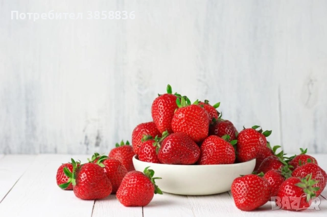 🍓НЕВРОЯТЕН СВЕЖ РАСАД ПРОМО ЦЕНИ🍓, снимка 8 - Разсади - 53566384