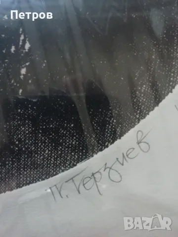 Графика- портрет на Лев Толстой, снимка 5 - Картини - 48270326