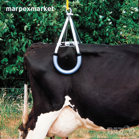 Скоба за повдигане на паднали крави (лифтер), снимка 4 - Крави - 44554714