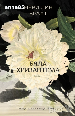 Бяла хризантема 