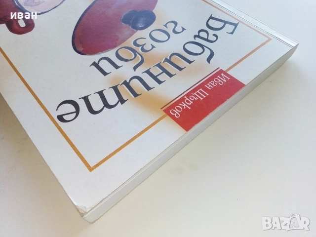 Бабините гозби - Иван Щърков , снимка 10 - Енциклопедии, справочници - 52929733