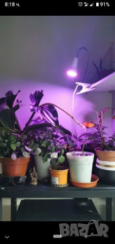 UV хидропонична лампа за растения, снимка 6 - Крушки - 29557423