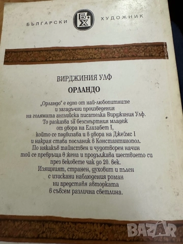 Вирджиния Улф -Мисис Далауей-Орландо-Смъртта на еднодневката, снимка 4 - Художествена литература - 52031793