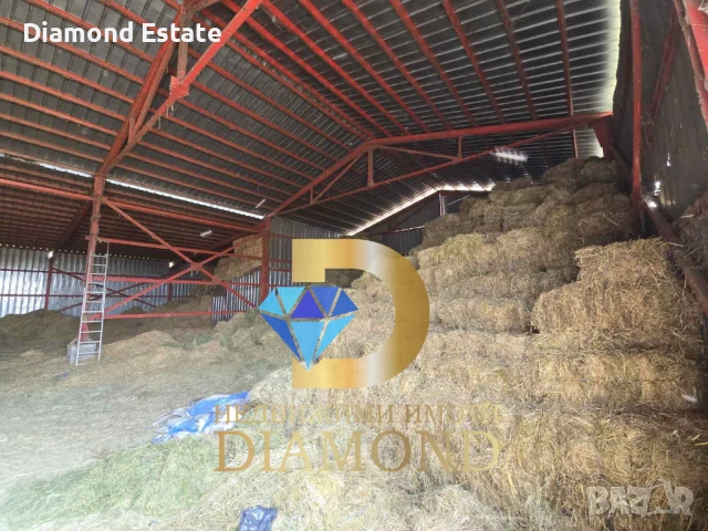 Овцеферма в село Голямо Асеново обл. Хасково, снимка 8 - Други - 50680863