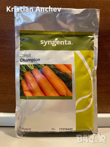 Професионални семена моркови Champion (Syngenta) – F1 хибрид