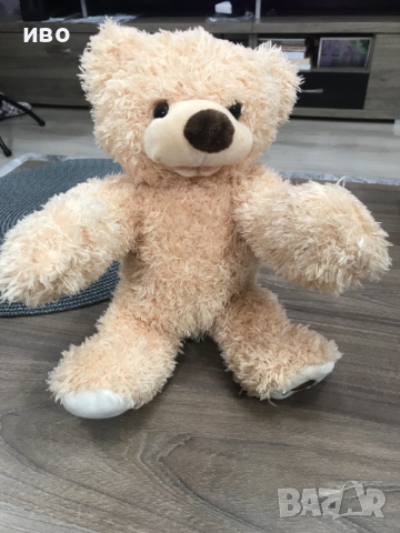 Плюшено мече говорещо