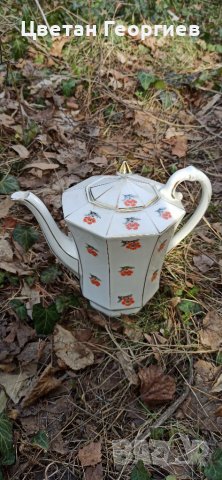 Кана, снимка 4 - Кани - 39857784