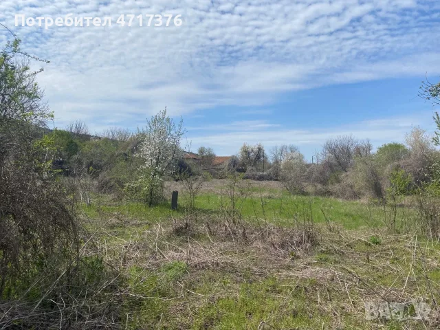 Продава ПАРЦЕЛ, с. Осенец, област Разград
