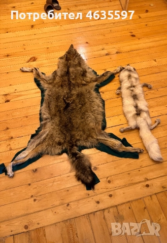 Кожа от вълк и шал,яка от лисица, снимка 2 - Арт сувенири - 52212264