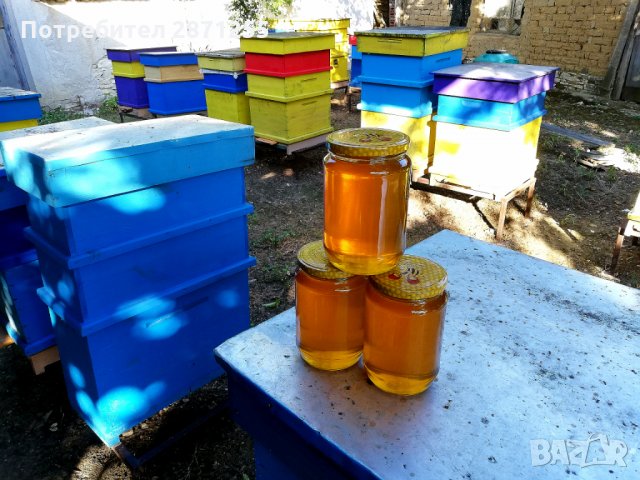 Пчелен мед букет 2023г. , снимка 3 - Пчелни продукти - 31161543