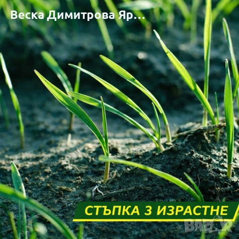 Подложка с тревни семена, биоразградима текстилна подложка, подрязваща се, наторена, снимка 6 - Други стоки за дома - 53697064