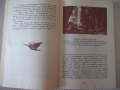 Книга "Пчелица - Анатол Франс" - 104 стр., снимка 5