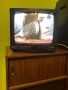 Телевизорче PHILIPS 14 инча, снимка 4