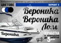 Регистрационни номера или име надписи за лодка скутер яхта boat scooter yacht , снимка 9
