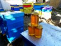 Пчелен мед букет 2023г. , снимка 3