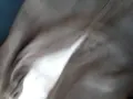 Няколко бройки спортни панталони , снимка 4