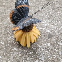 Пеперуда върху цвете– силен двоен магнит., снимка 1 - Декорация за дома - 41561619