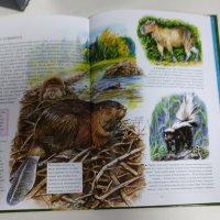 най известните животни в българия и по света, снимка 4 - Детски книжки - 42730288