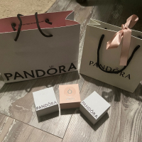 Чанти и кутии Pandora, снимка 1 - Чанти - 44717064