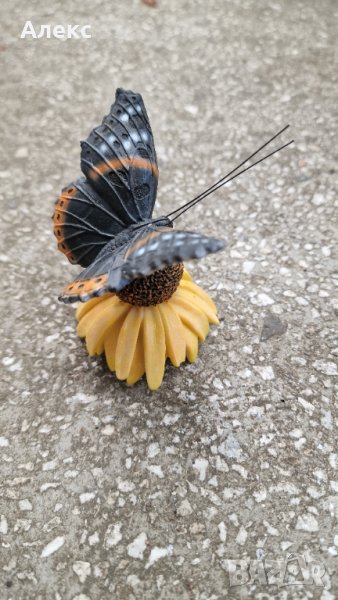 Пеперуда върху цвете– силен двоен магнит., снимка 1
