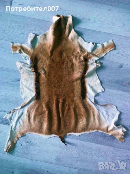 Естествена кожа за декорация, под, стена , снимка 1