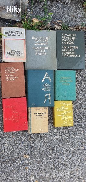 Чуждоезикови речници, преводачи и др., снимка 1