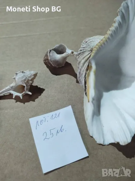 Океански дарове, снимка 1