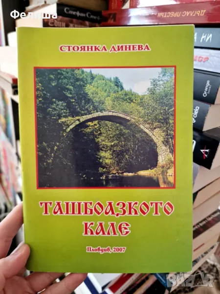 Ташбоазкото кале - Стоянка динева, снимка 1