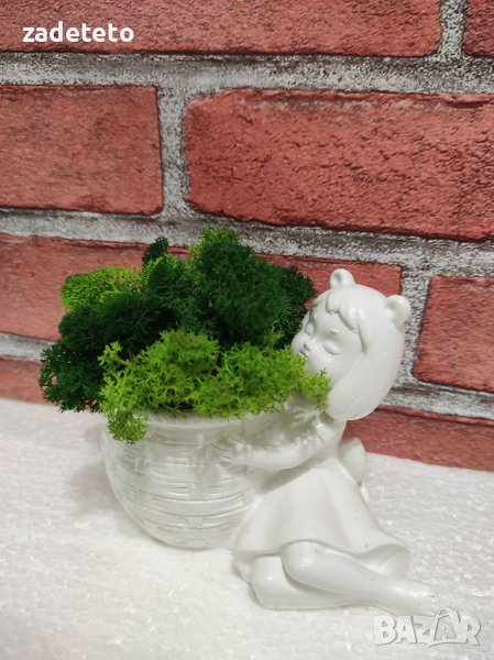 Кашпа със Скандинавски мъх , снимка 1