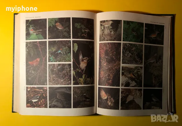 Стара Книга от Поредицата Живота на Животните/ Птиците том 6, снимка 9 - Енциклопедии, справочници - 49252831