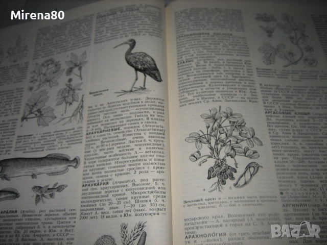 Биологический енциклопедический словарь, снимка 5 - Чуждоезиково обучение, речници - 52878461