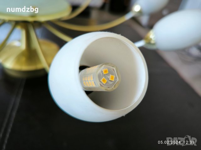 различни видове полилеи, снимка 13 - Полилеи - 44149964