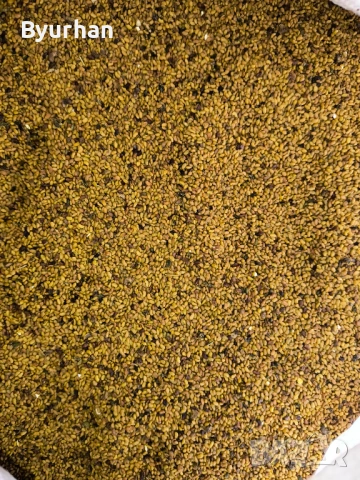 Продавам семе люцерна сорт Приста 3 