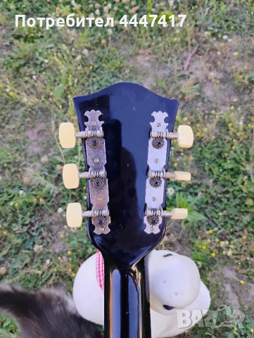 Германска акустична китара , снимка 3 - Китари - 50899222