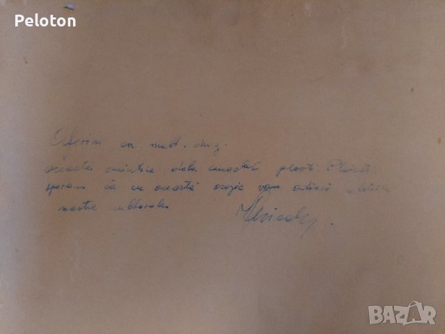 Valeria Nikolae, снимка 3 - Картини - 41861015