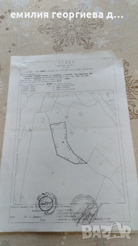 Парцел в гр. Ракитово в борова гора