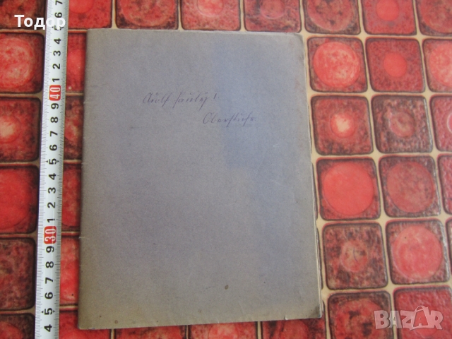 Стар немски дневник лексикон 1917, снимка 1 - Колекции - 36100201