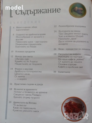 Шедьоври на световната кухня Книга 5 Арабска кухня - стъпка по стъпка , снимка 3 - Енциклопедии, справочници - 50979913