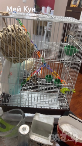 клетка за домашен любимец