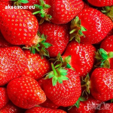 100 бр. семена от гигантска ягода градинско плодово растение сладки и вкусни червени отлични ягоди , снимка 13 - Сортови семена и луковици - 50619358