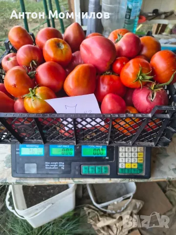 Продавам вкусни домати, снимка 6 - Домашни продукти - 55884872