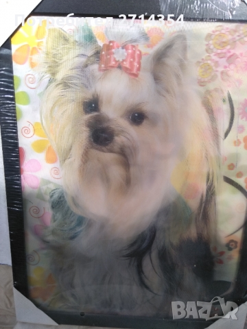 Продавам стерео картина Йоркширски териер, снимка 7 - Картини - 36110320