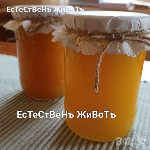 Домашен мед., снимка 1 - Пчелни продукти - 40100070