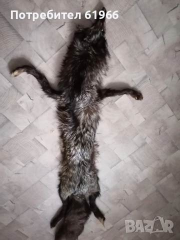 Сребърна богата лисича яка! , снимка 5 - Шалове - 51975368