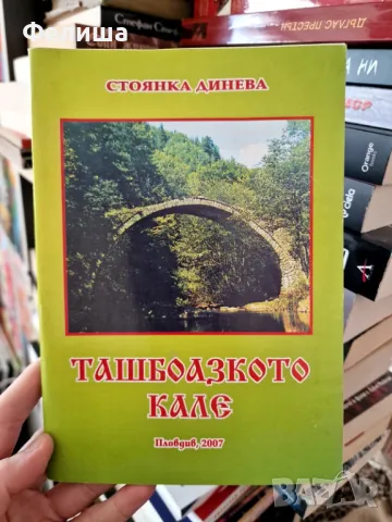 Ташбоазкото кале - Стоянка динева, снимка 1